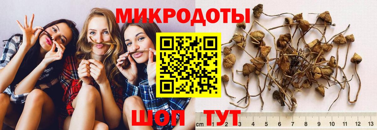 даркнет сайт  Вход с VPN  Волгодонск  Галлюциногенные грибы мицелий 